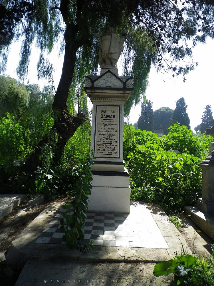 CIMETIERE DE TAMAZOUHET D ORAN EN MARS 2012  (126).JPG